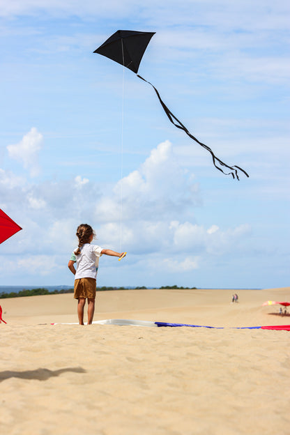 30" Solid Diamond Kite - Black