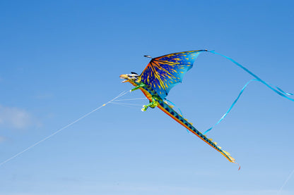 3-D Dragon Kite