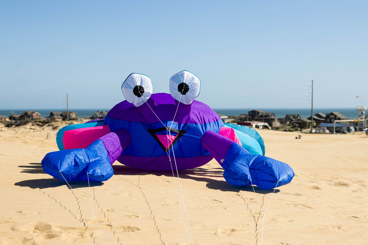 Large 3M Billy the Bouncing Crab - Berry