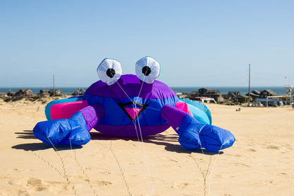 Large 3M Billy the Bouncing Crab - Berry