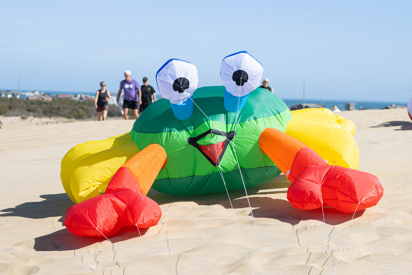 Large 3M Billy the Bouncing Crab - Green
