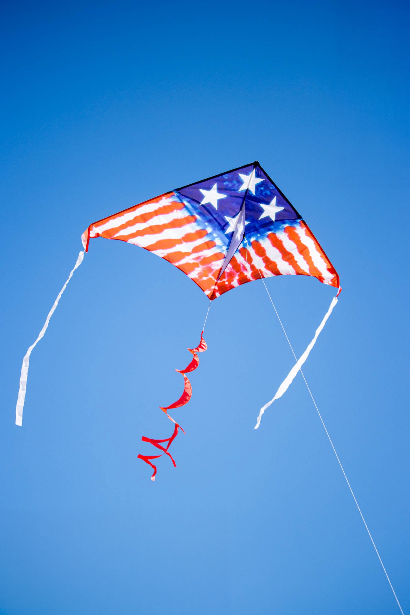 2M Delta Kite - Freedom Flyer