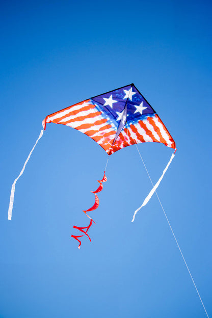 2M Delta Kite - Freedom Flyer