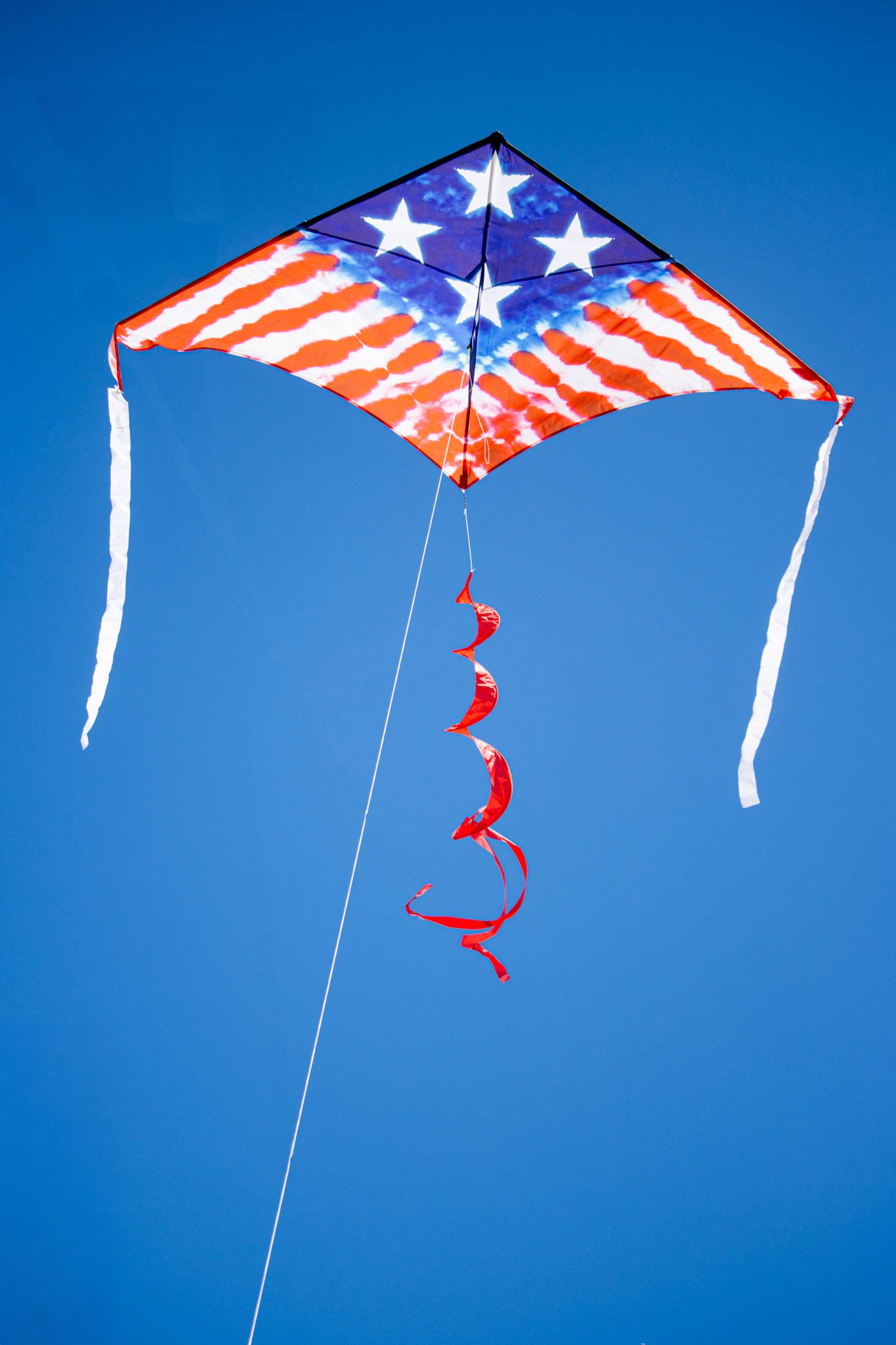 2M Delta Kite - Freedom Flyer – Kitty Hawk Kites