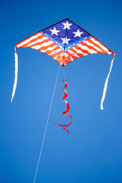 2M Delta Kite - Freedom Flyer