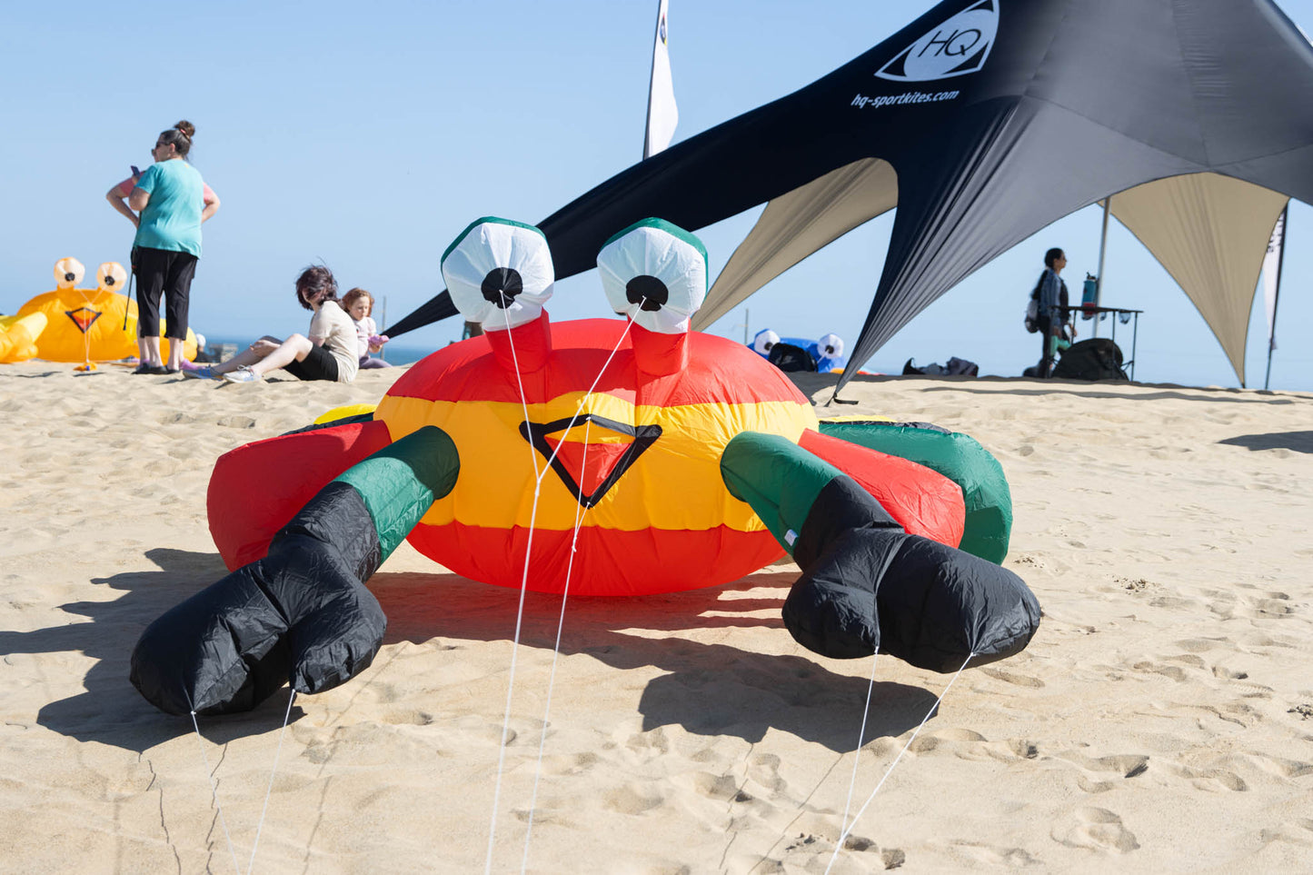 Large 3M Billy the Bouncing Crab - Rasta