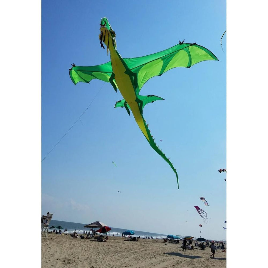 Giant Dragon Kite
