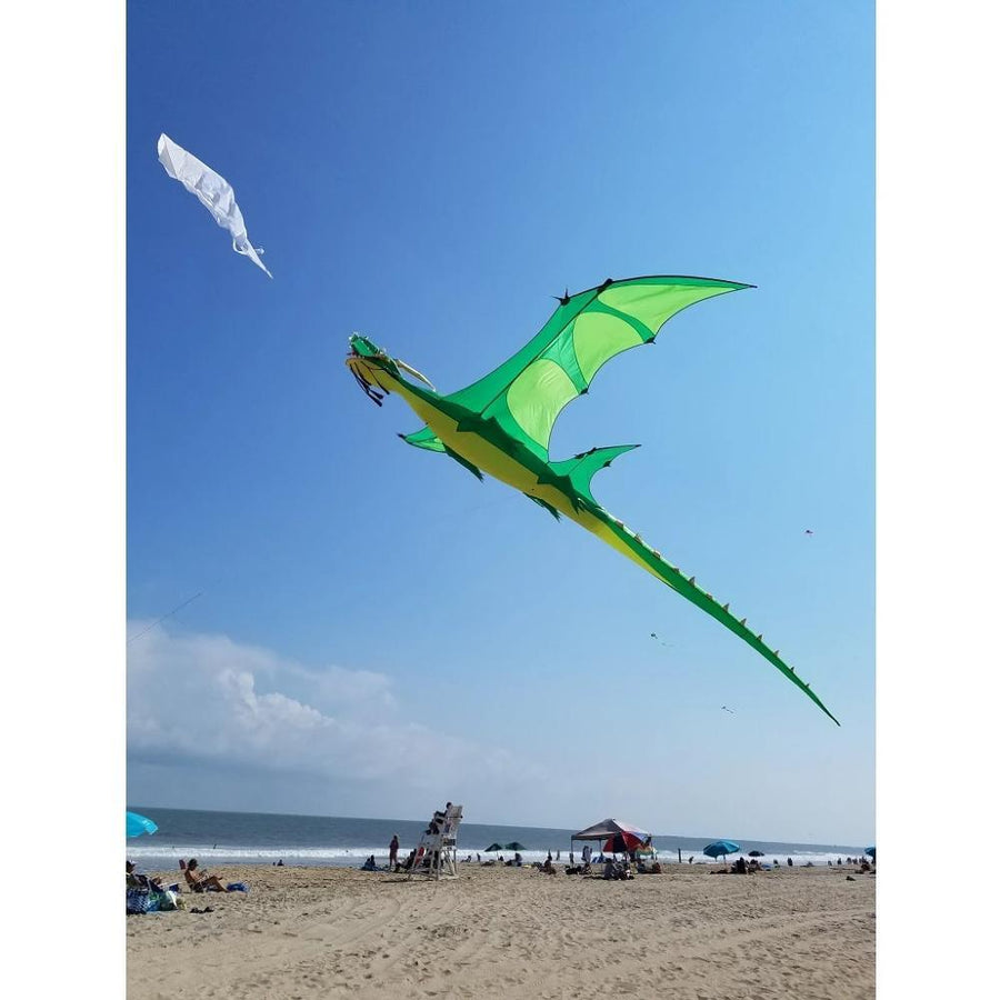 Giant Dragon Kite