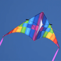 Pixel 100 Inch Delta Kite
