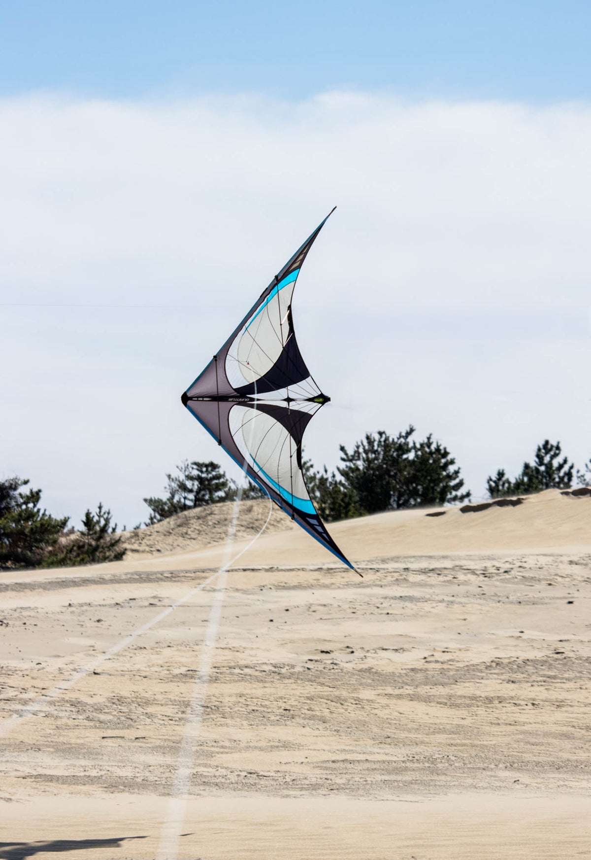 Prism Quantum 2.0 Stunt Kite - Onyx – Kitty Hawk Kites