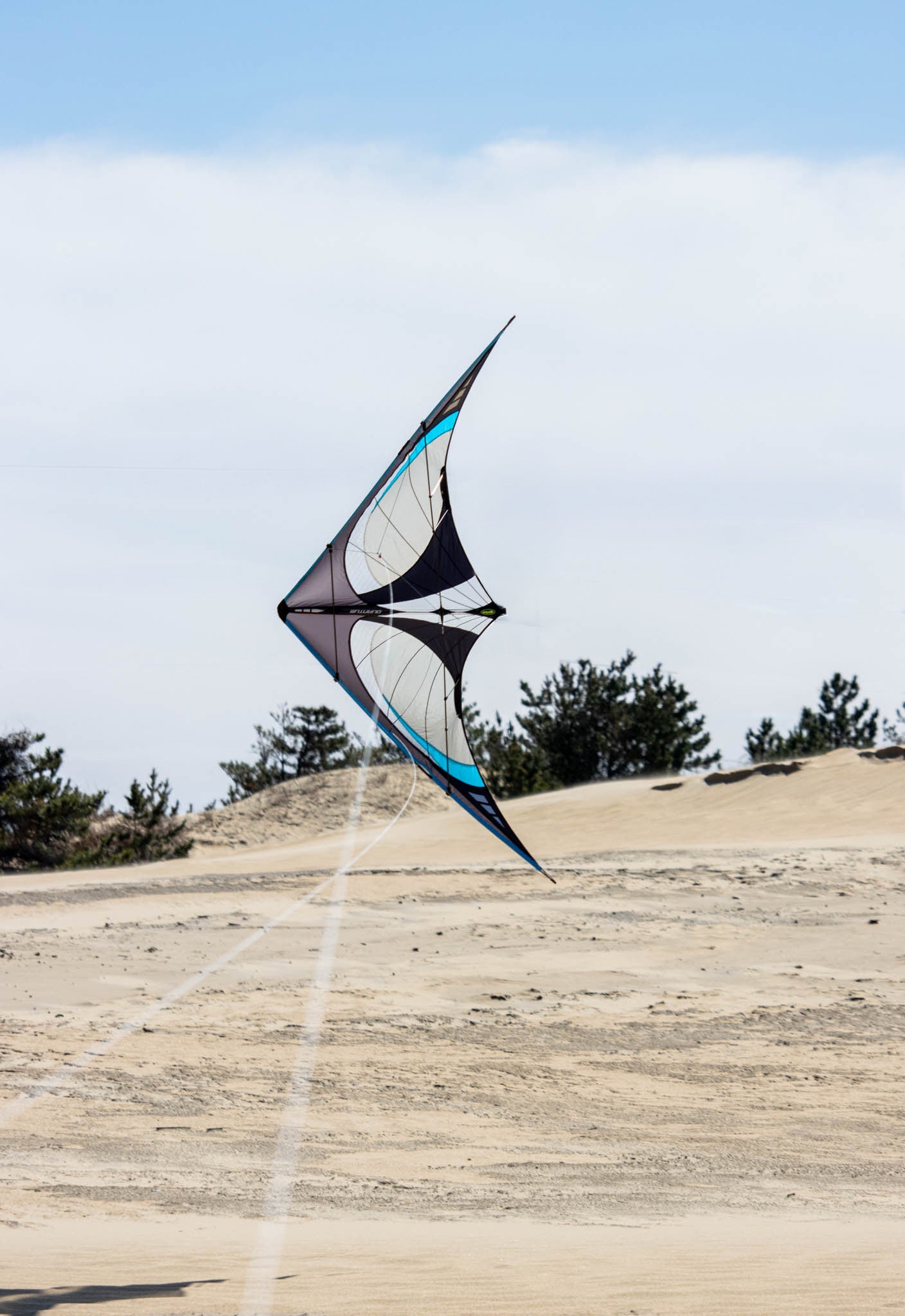 Prism Quantum 2.0 Stunt Kite - Onyx