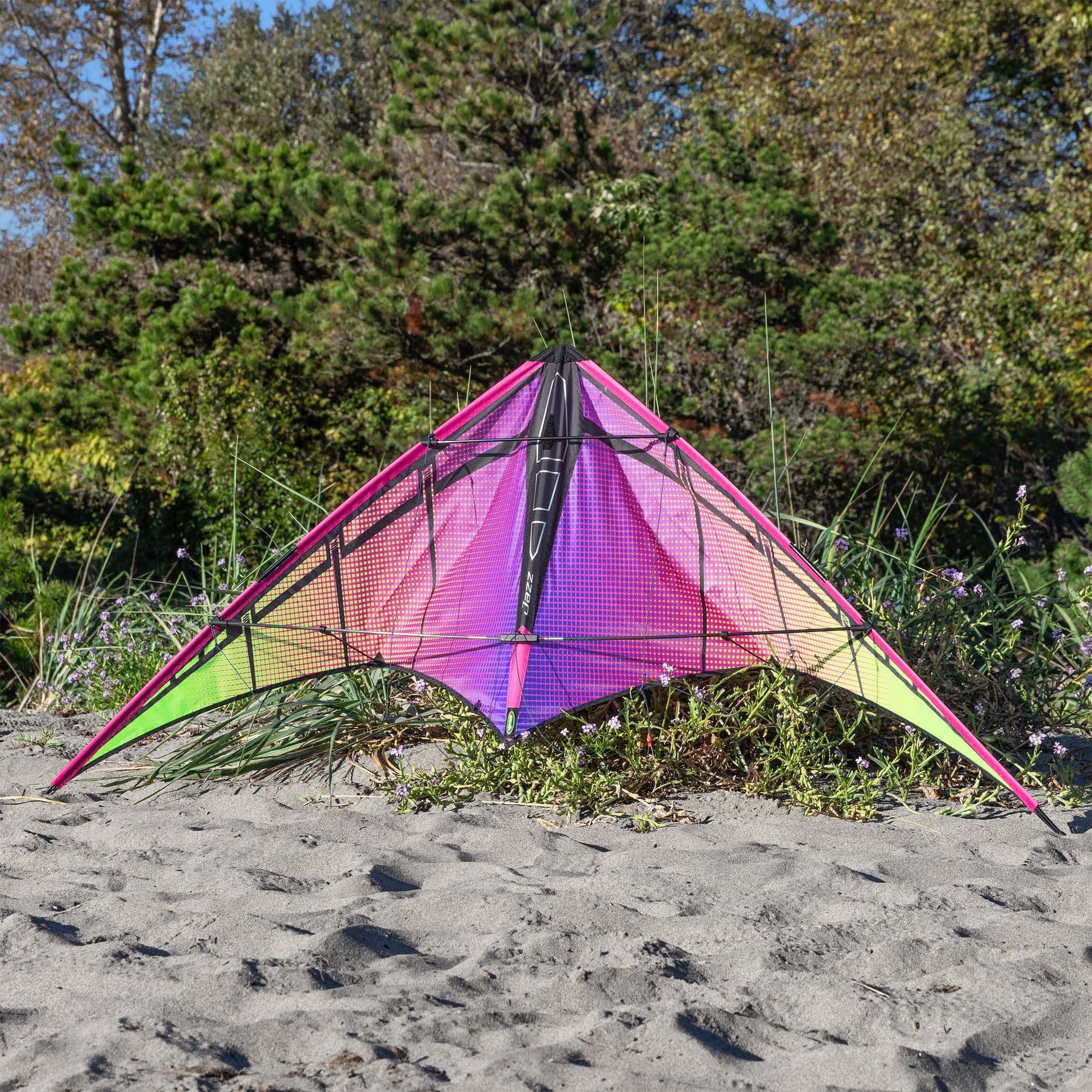 Jazz 2.0 Dual Line Stunt Kite - Plasma – Kitty Hawk Kites