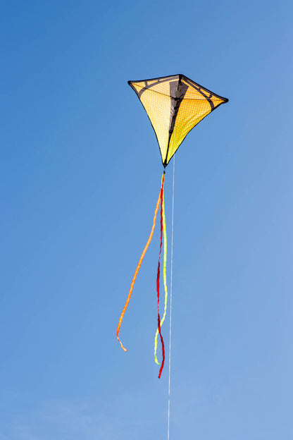Prism Vertex Diamond Kite - Infrared