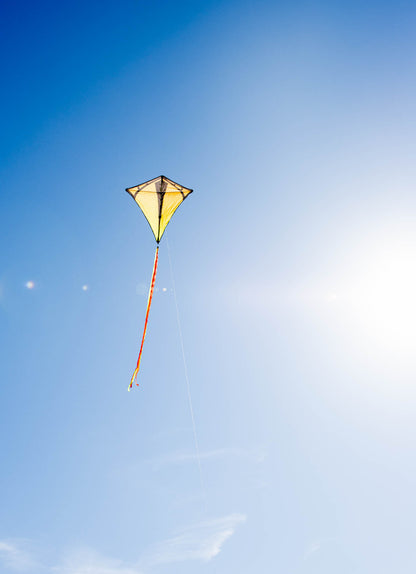 Prism Vertex Diamond Kite - Infrared