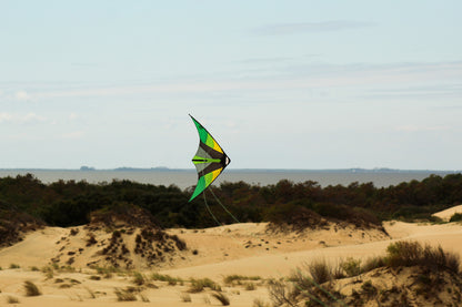 Cirrus Light Wind Stunt Kite - Emerald