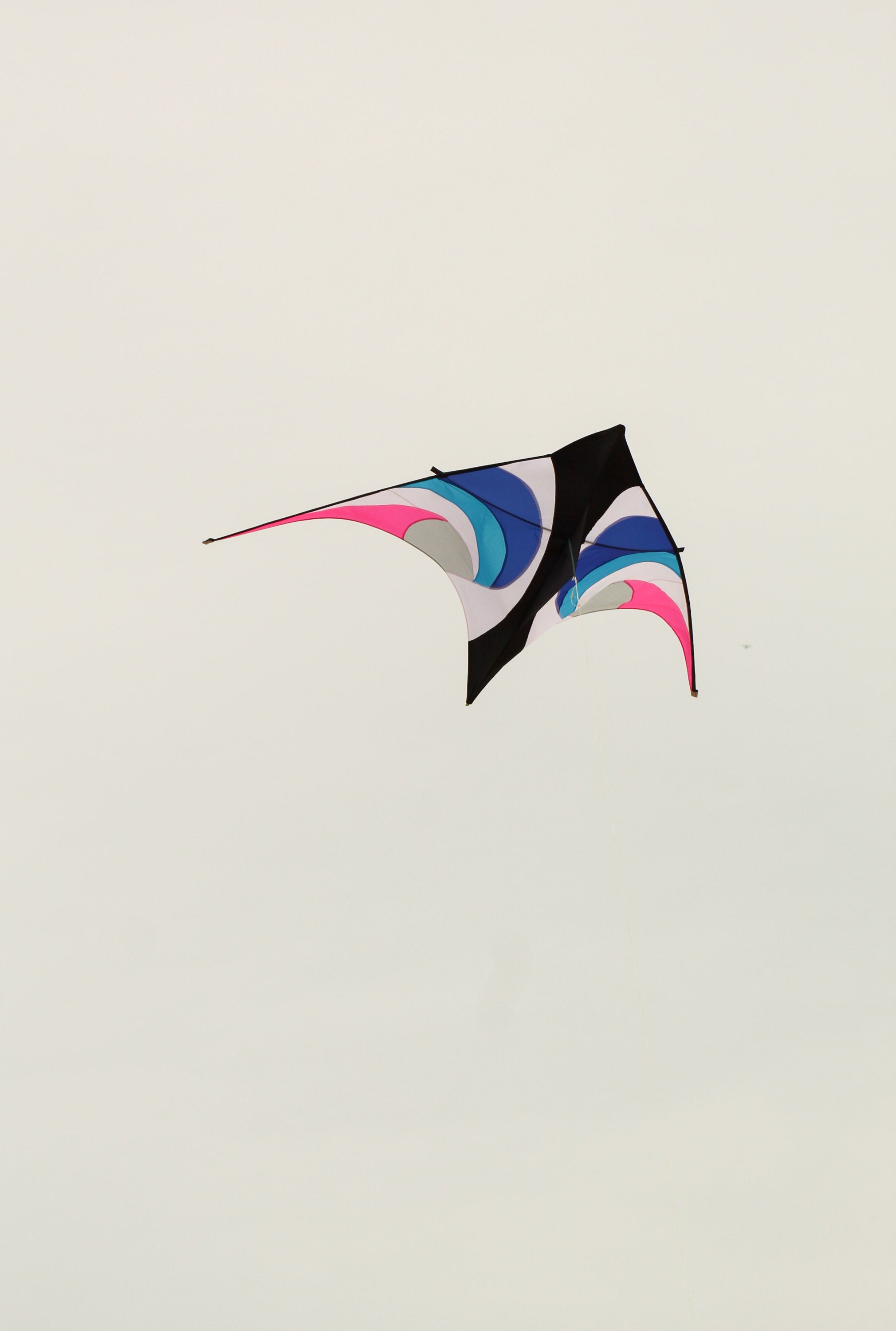 11.5 Delta Kite - Waverider – Kitty Hawk Kites