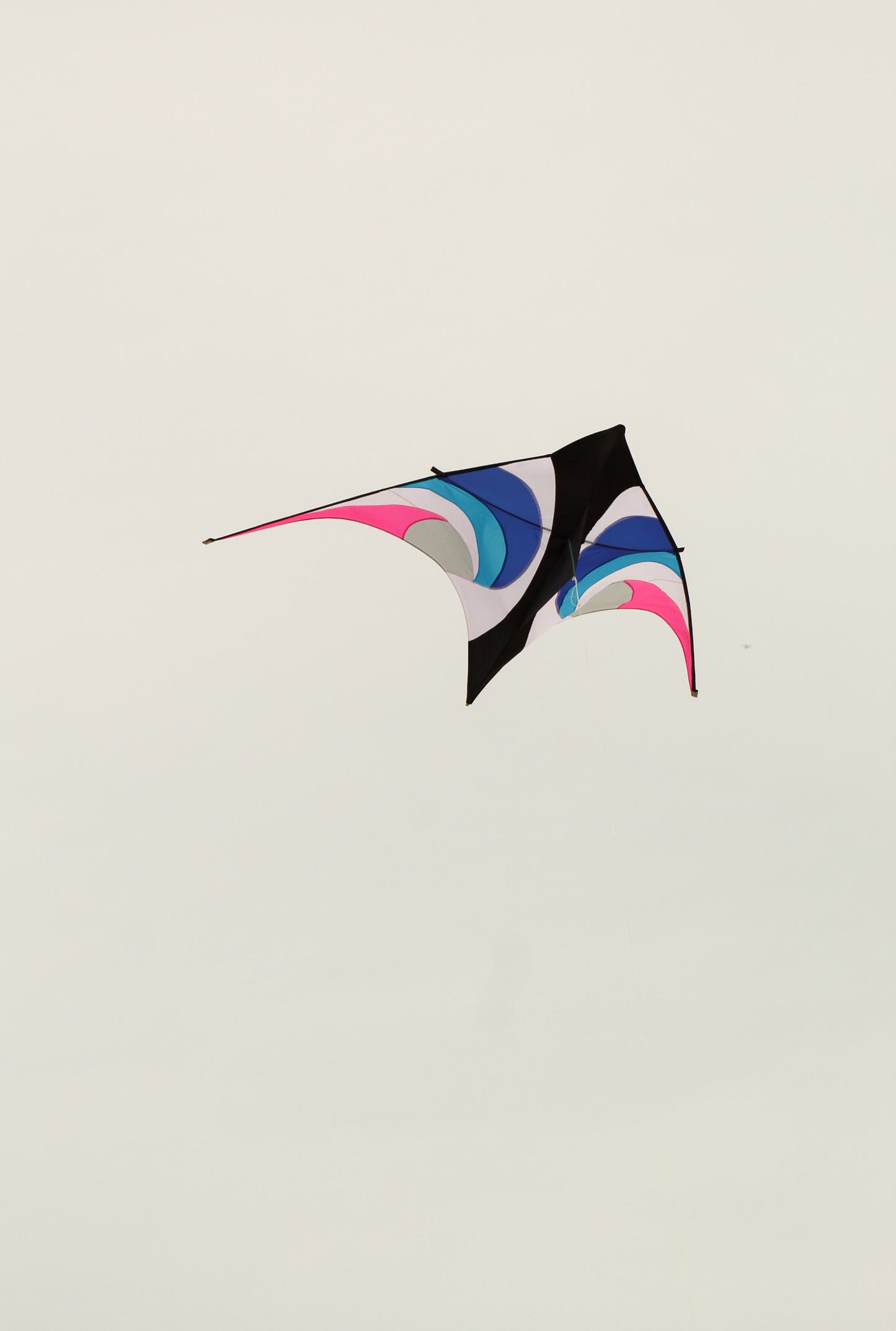 11.5 Delta Kite - Waverider