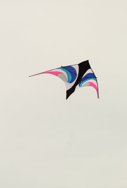 11.5 Delta Kite - Waverider