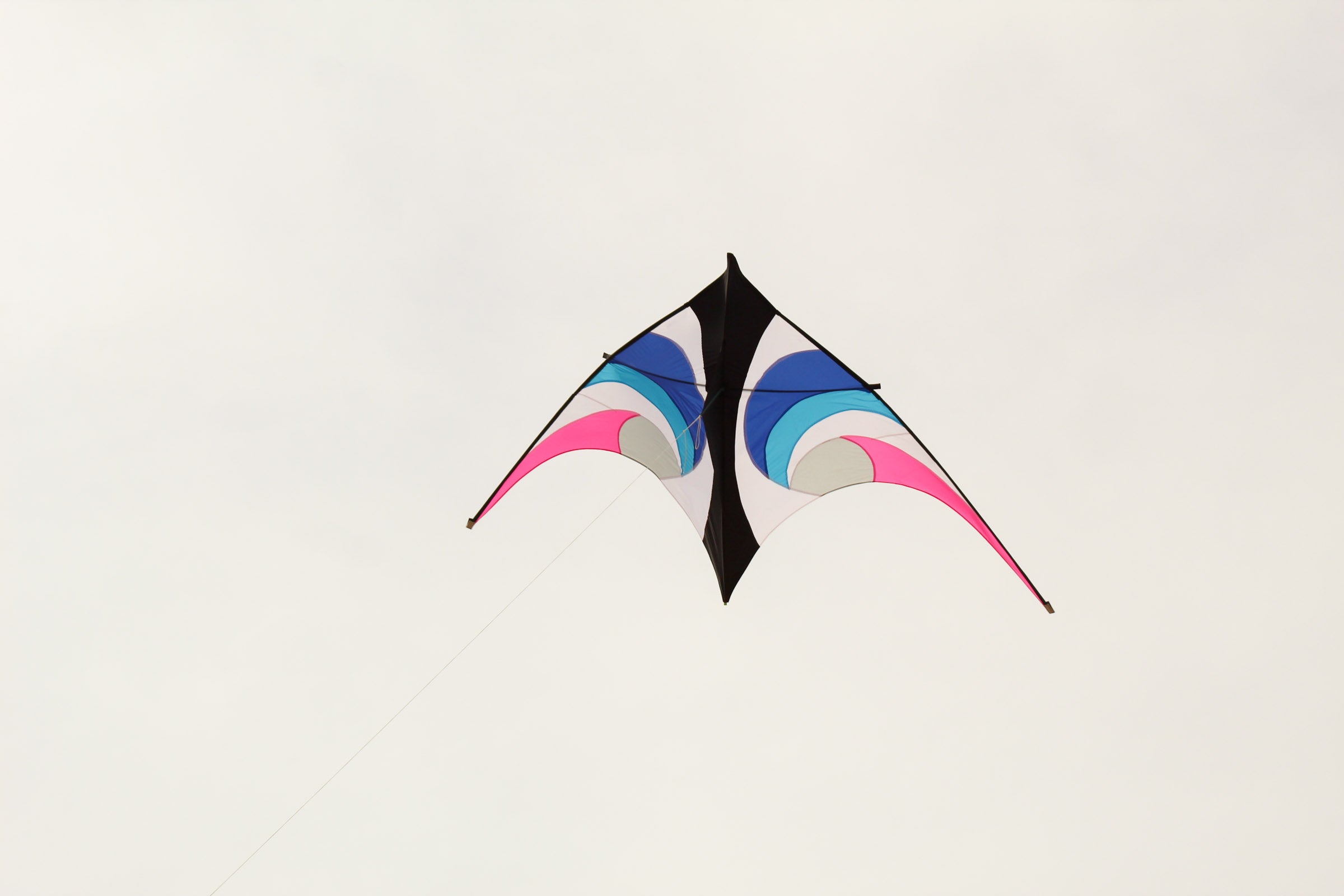 11.5 Delta Kite - Waverider – Kitty Hawk Kites