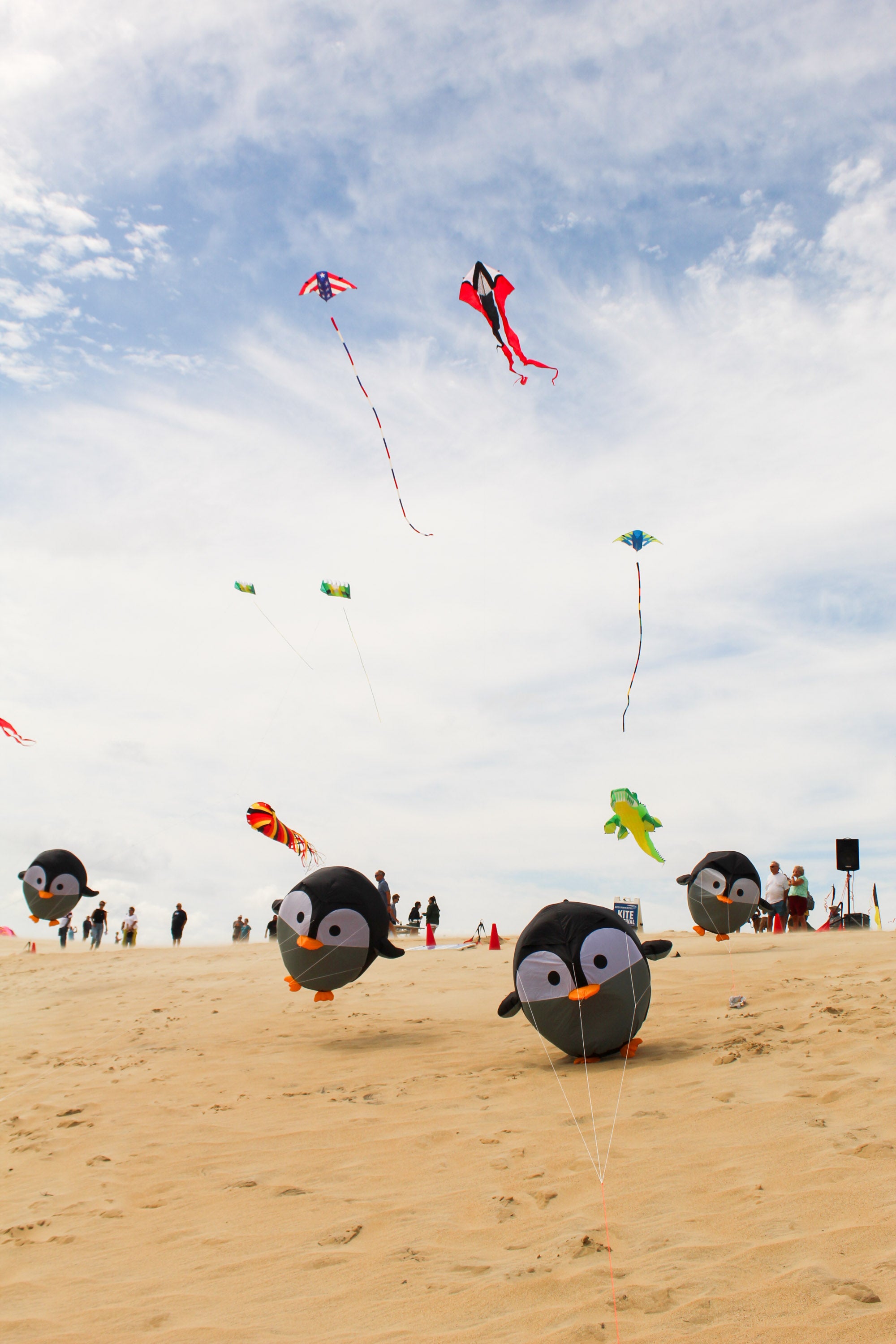 39&quot; Bouncing Birdeez XL - Penguin