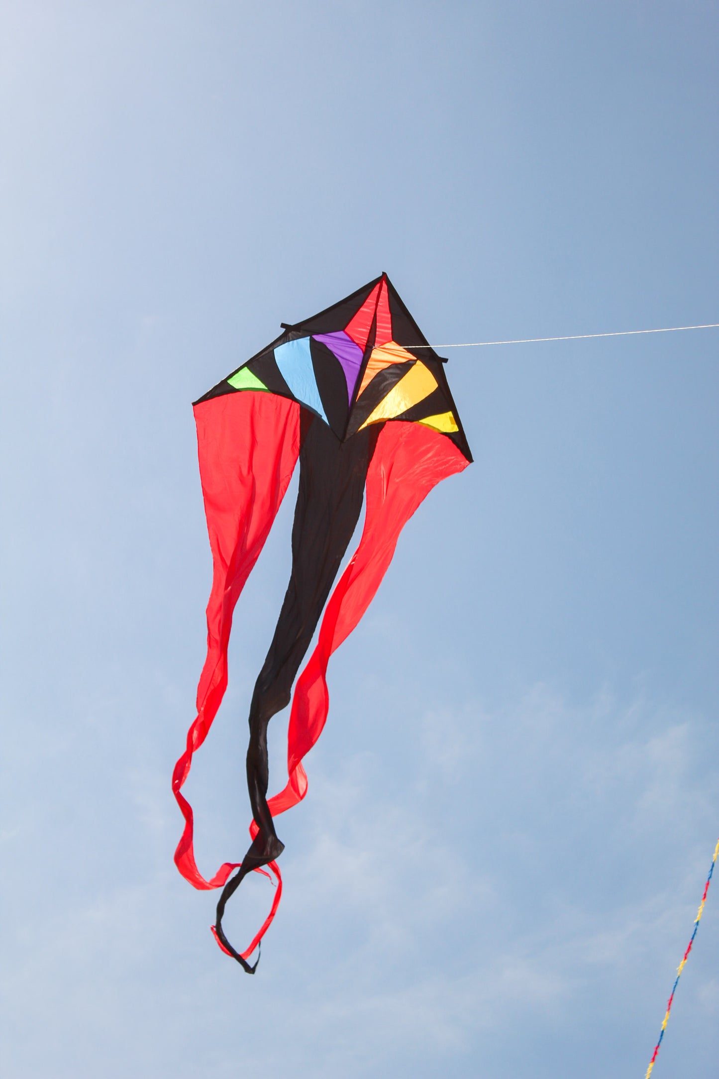 Rainbow Flowtail Delta Kite