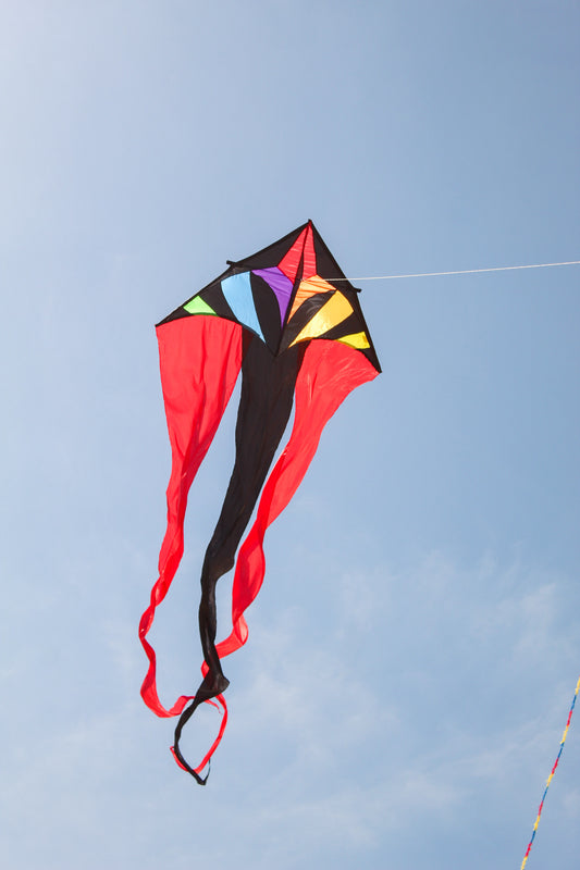 Rainbow Flowtail Delta Kite