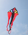 Rainbow Flowtail Delta Kite
