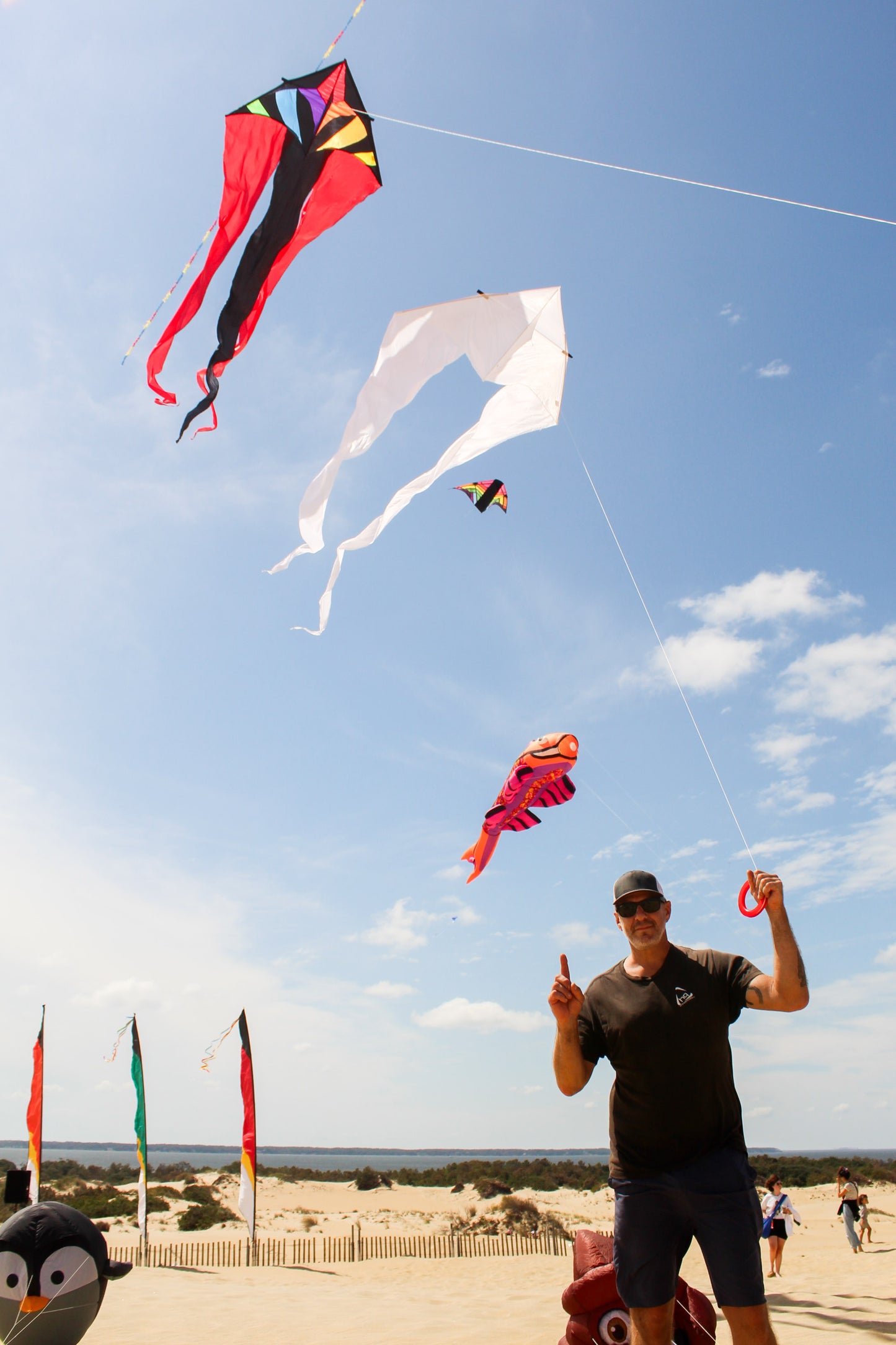 HQ 6.5 Foot White Pyro Delta Kite