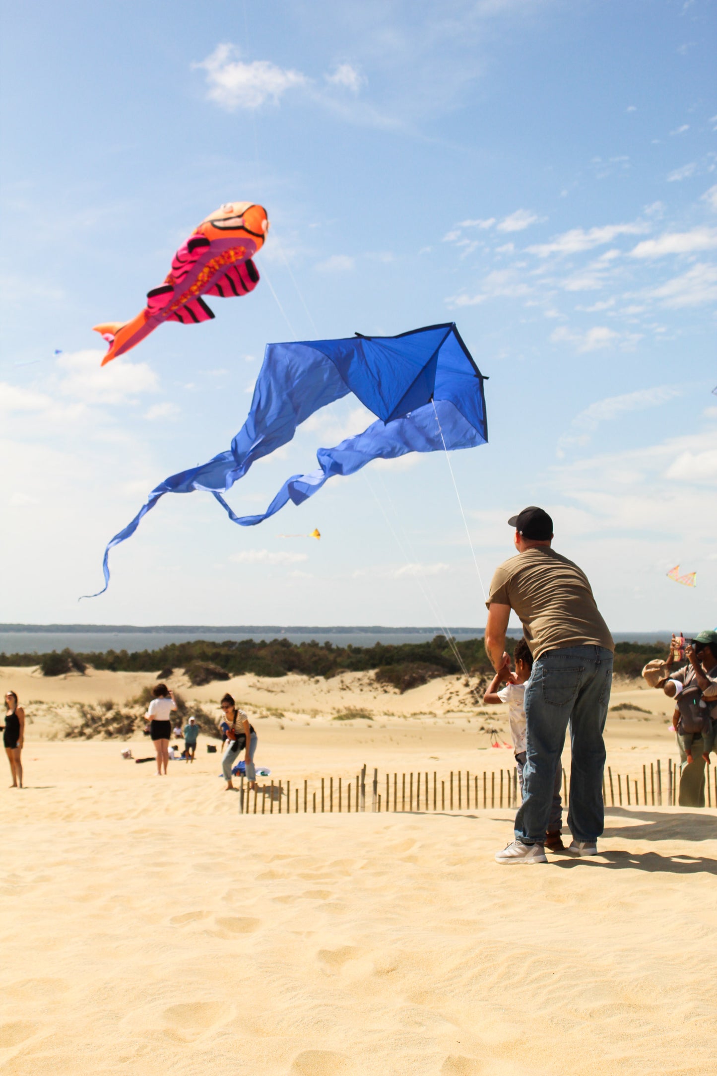 HQ 6.5 Foot Blue Pyro Delta Kite
