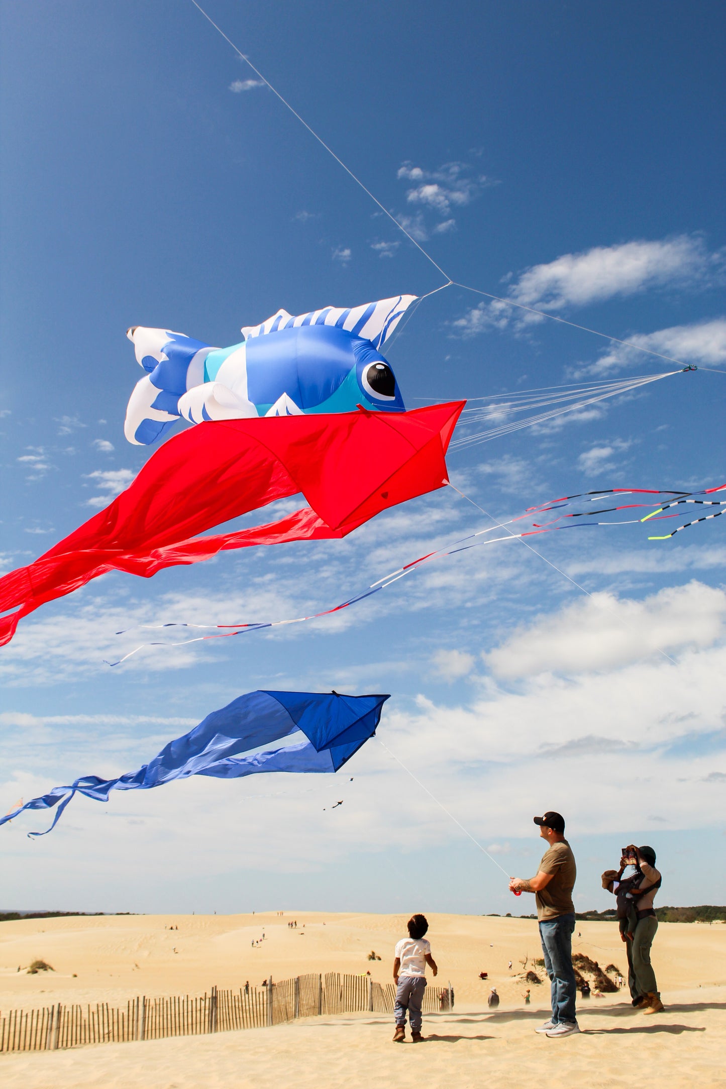 HQ 6.5 Foot Blue Pyro Delta Kite