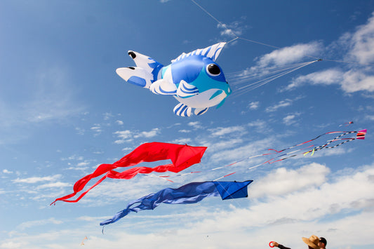 HQ 6.5 Foot Red Pyro Delta Kite