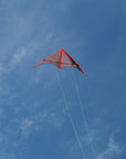 Stormy Pete Speed Stunt Kite