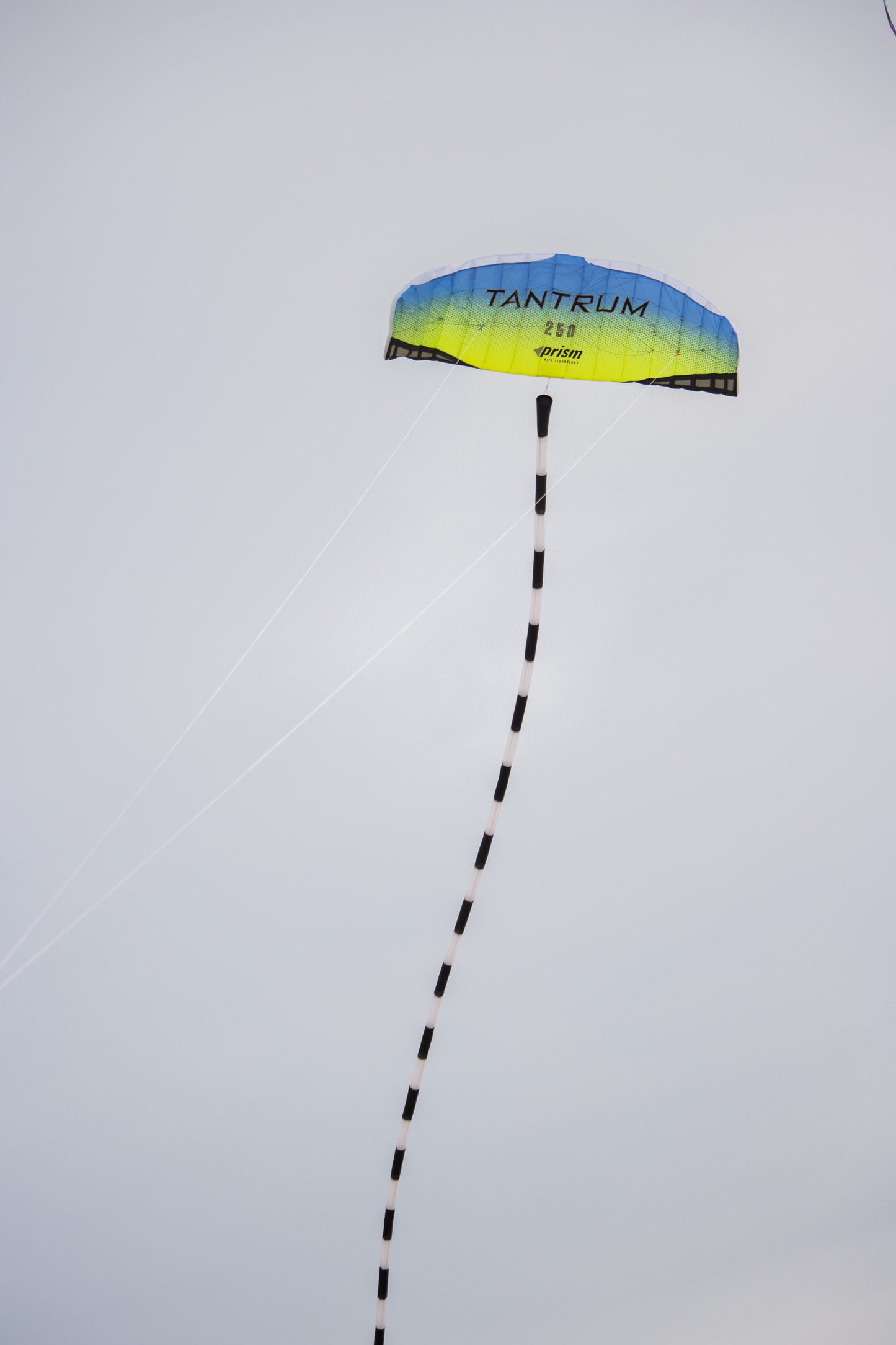 Prism - Tantrum 250 Power Foil/Trainer Kite