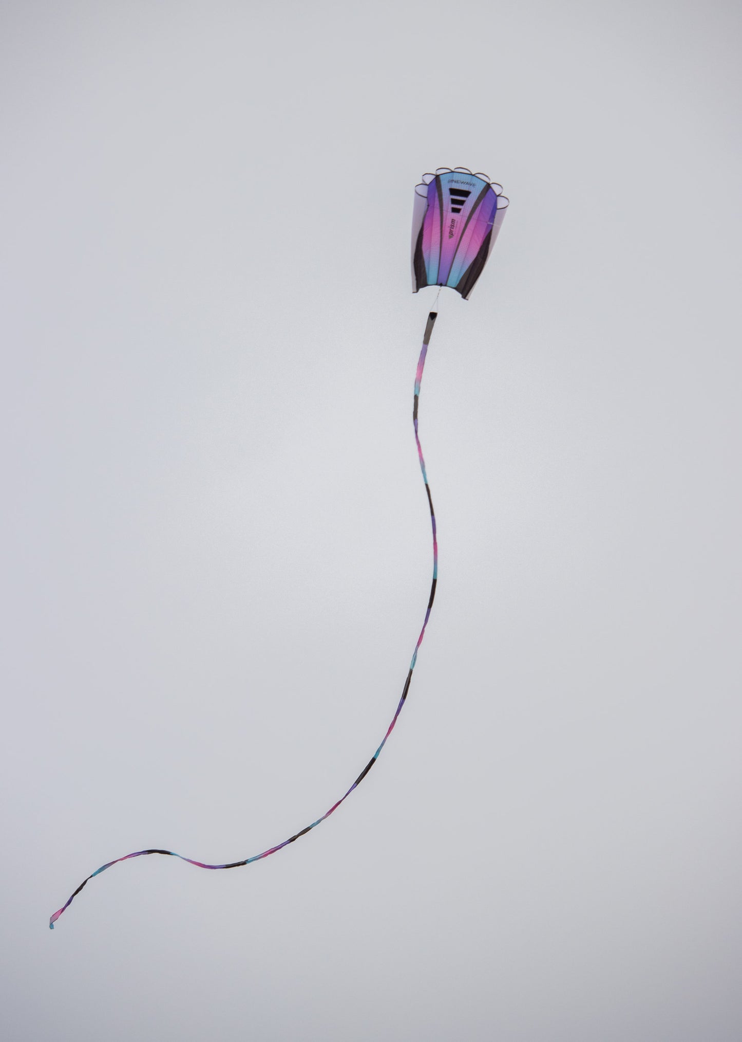 Prism Sinewave Kite - Ultraviolet