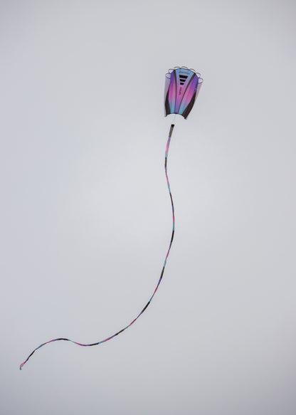 Prism Sinewave Kite - Ultraviolet