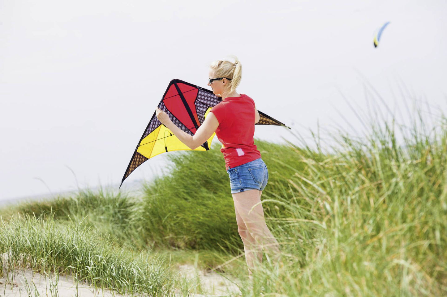 Quickstep II Stunt Kite - Graphite