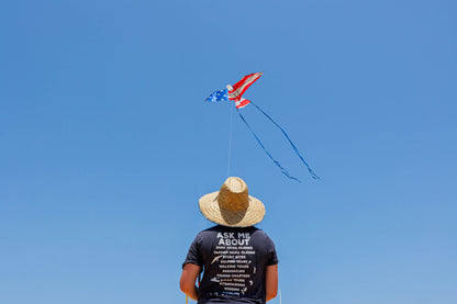 70" SuperSize Kite - Patriotic Eagle