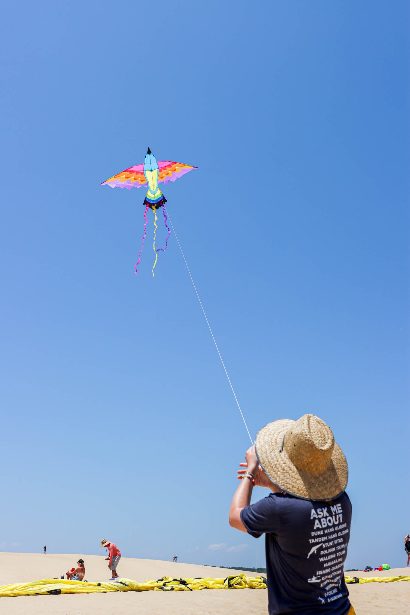 Paradise Bird Kite