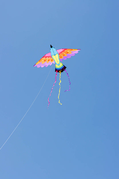 Paradise Bird Kite