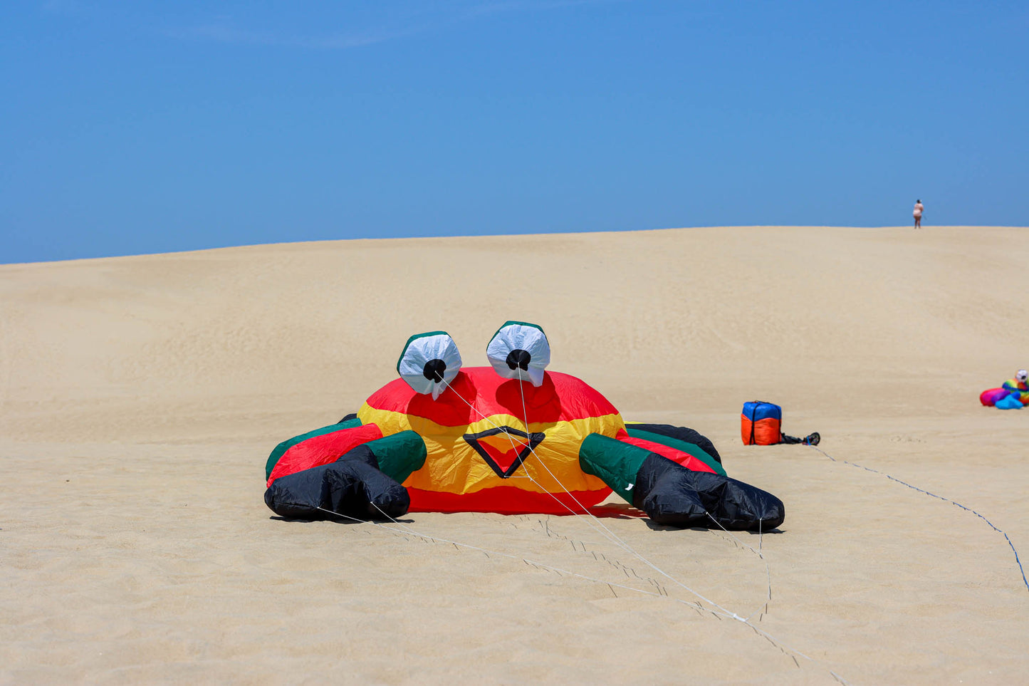 Large 3M Billy the Bouncing Crab - Rasta