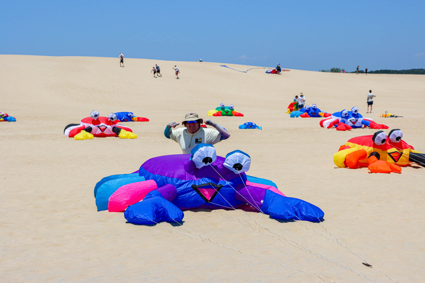 Large 3M Billy the Bouncing Crab - Berry