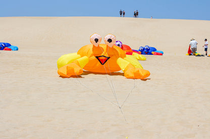 Large 3M Billy the Bouncing Crab - Yellow/Orange