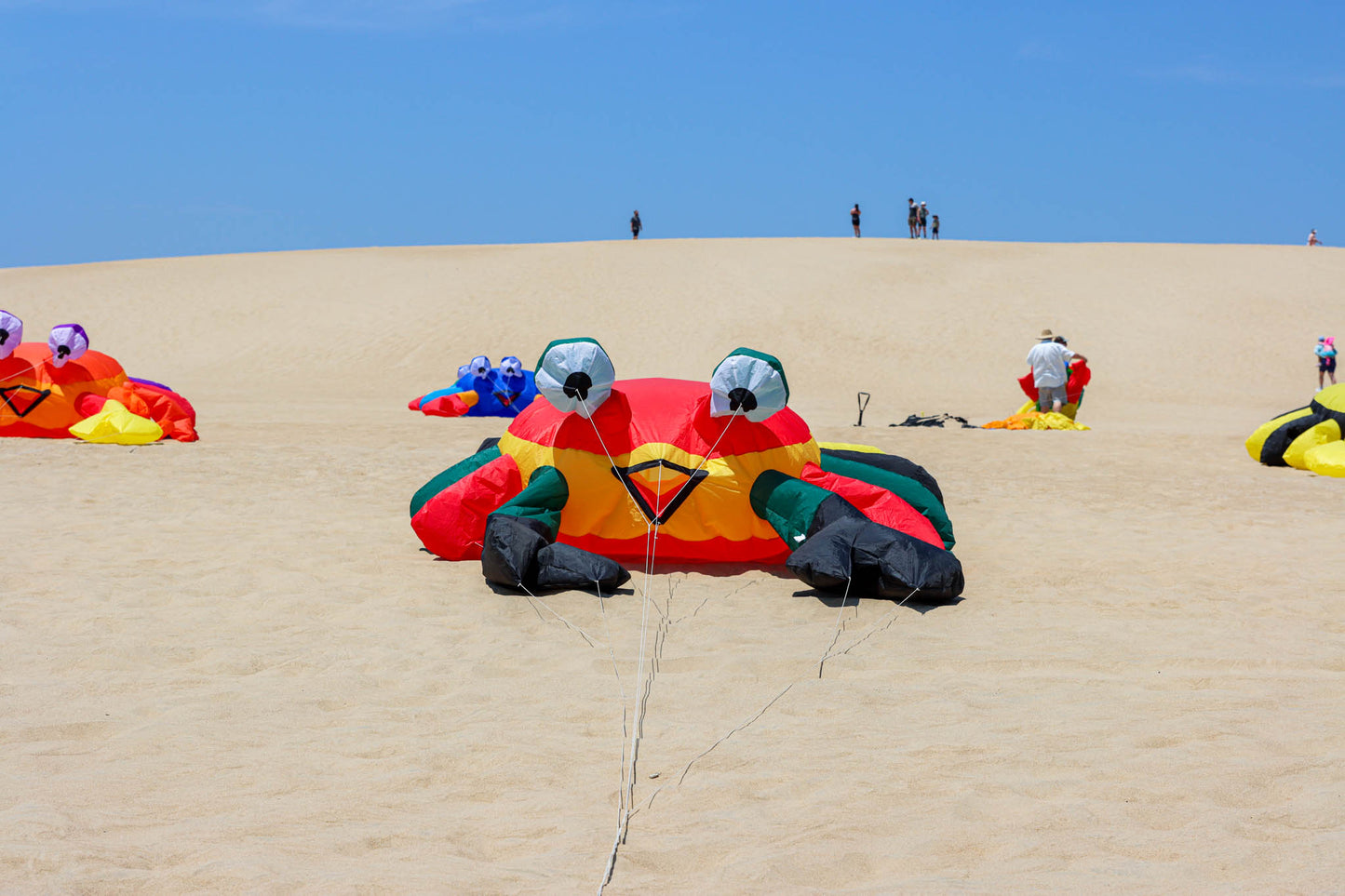 Large 3M Billy the Bouncing Crab - Rasta