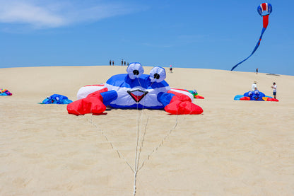 Large 3M Billy the Bouncing Crab - Patriot