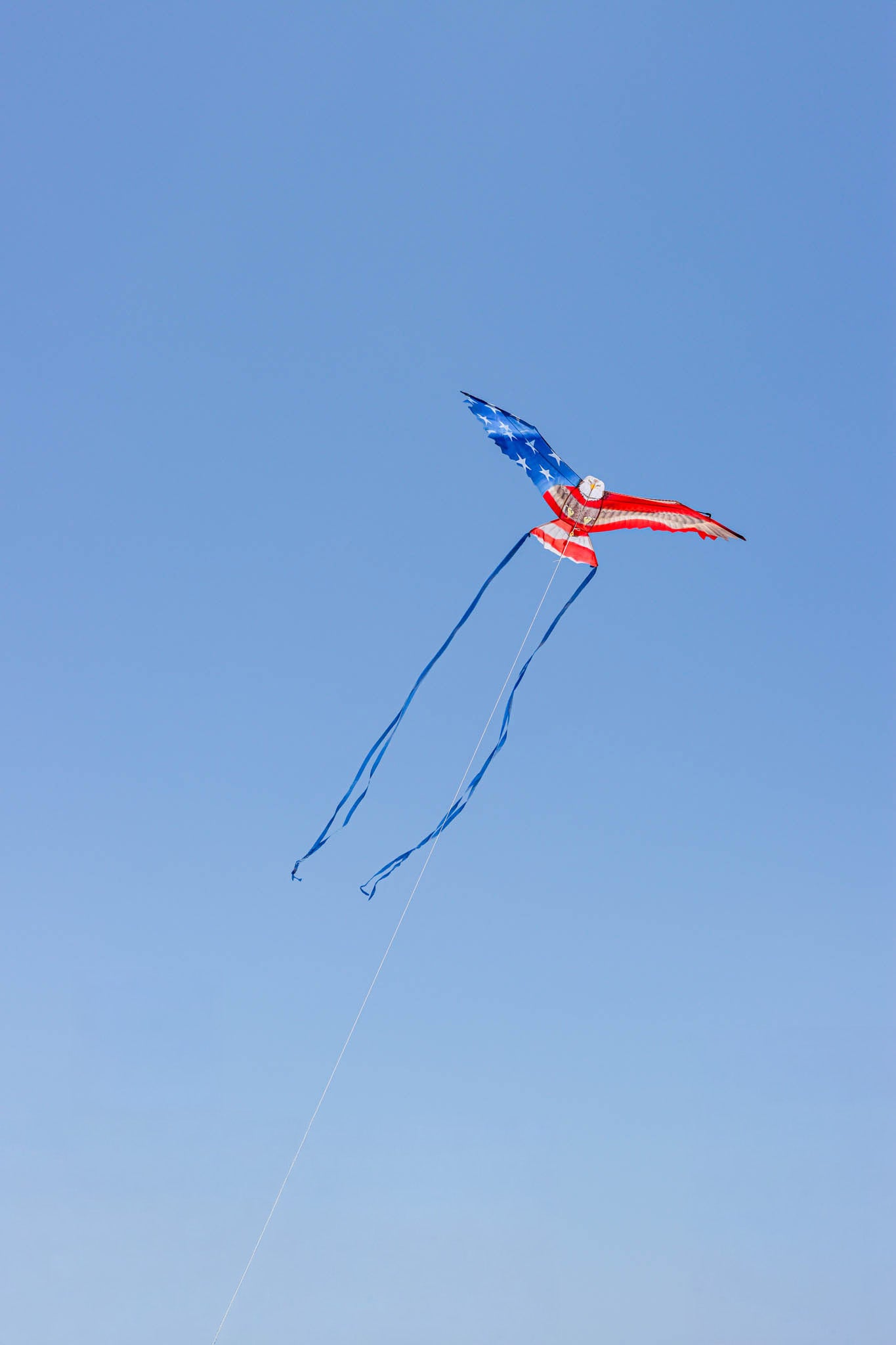 70" SuperSize Kite - Patriotic Eagle