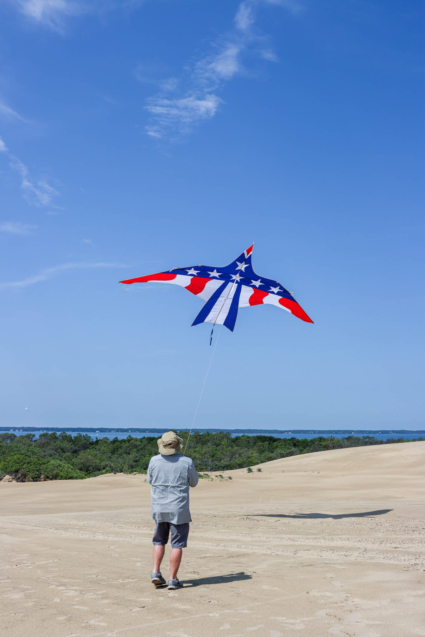 16' Thunderbird Kite - Patriotic