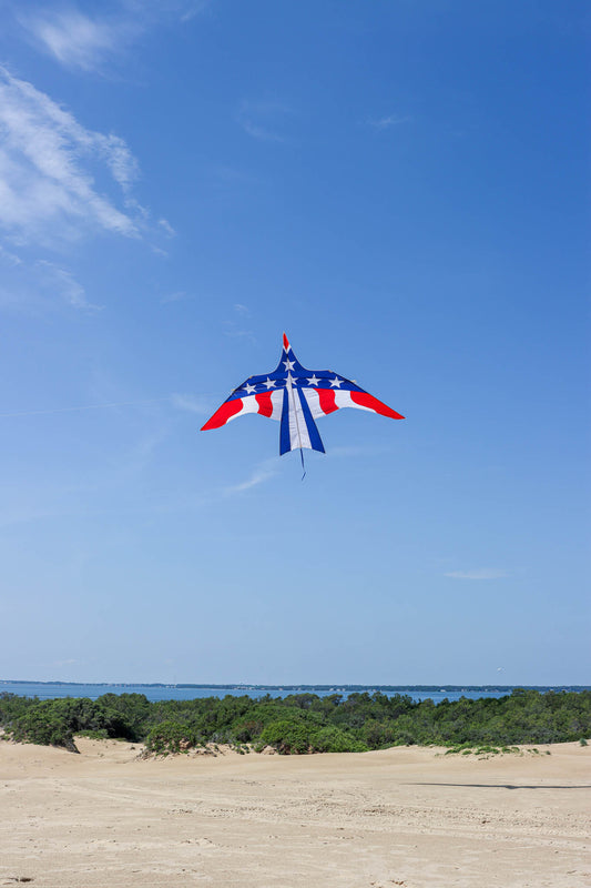 16' Thunderbird Kite - Patriotic