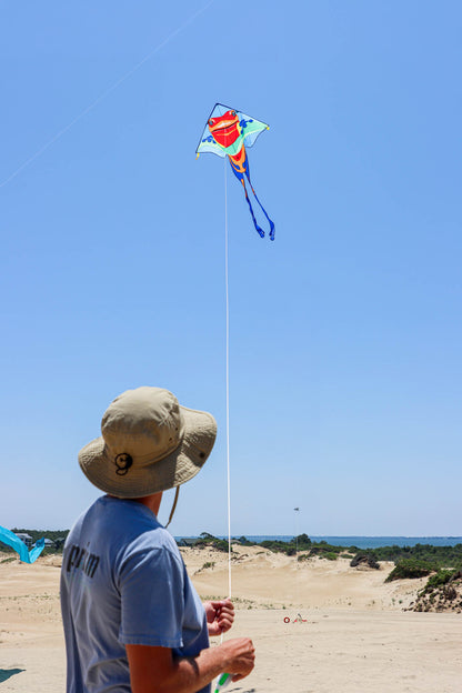 46" Large Easy Flyer Kite - Poison Dart Frog