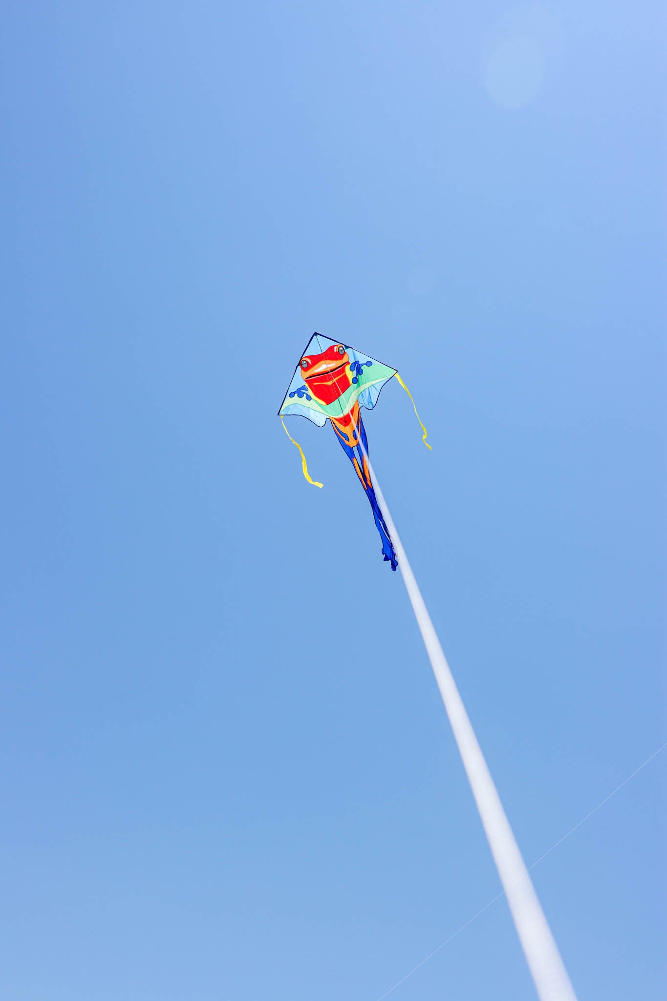 46" Large Easy Flyer Kite - Poison Dart Frog