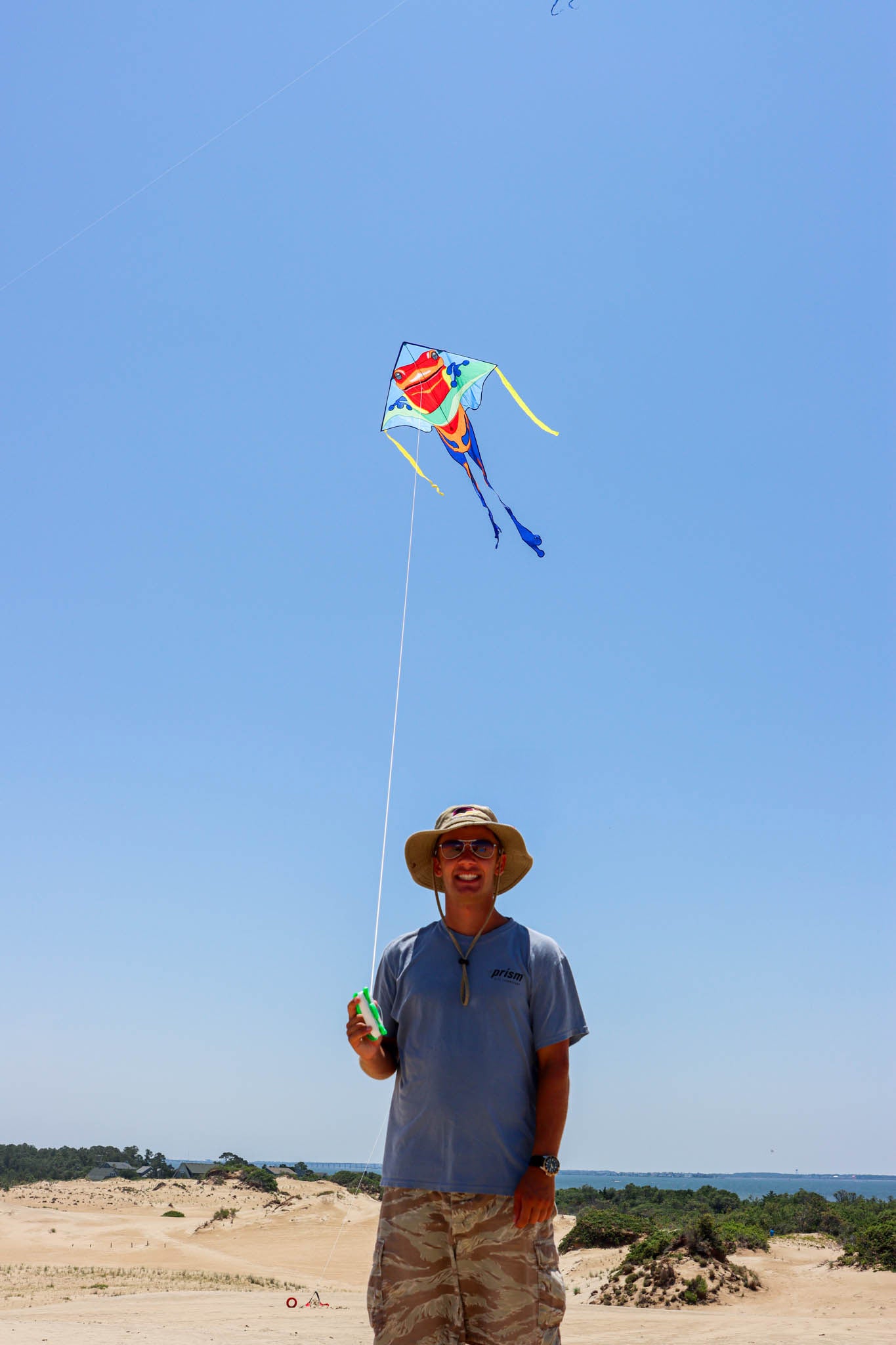 46" Large Easy Flyer Kite - Poison Dart Frog